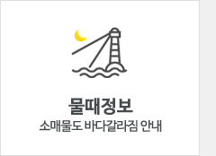 물때정보